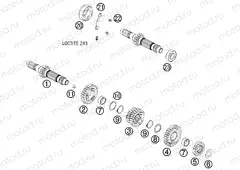 TRANSMISSION I - MAIN SHAFT