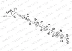 TRANSMISSION I - MAIN SHAFT