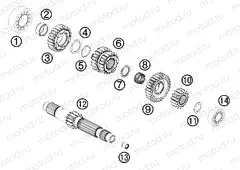TRANSMISSION I - MAIN SHAFT