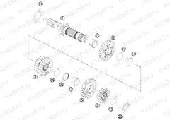 TRANSMISSION I - MAIN SHAFT