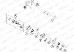 TRANSMISSION I - MAIN SHAFT