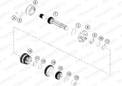 TRANSMISSION I - MAIN SHAFT