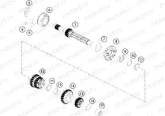 TRANSMISSION I - MAIN SHAFT