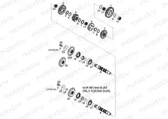 TRANSMISSION II - COUNTERSHAFT