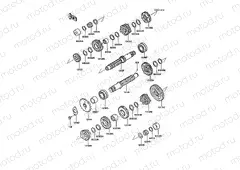 Transmission(ZX600AE025001-051055)