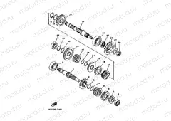 Transmitchillon