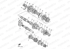 Transmitchillon