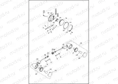 TURN SIGNALS, FRONT AND HEADLAMP - FLRT (DOMESTIC)