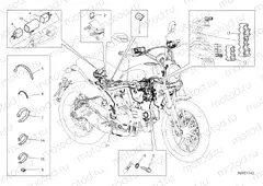 VEHICLE ELECTRIC SYSTEM [MOD:SCR800CR]