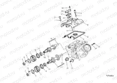 VERTICAL CYLINDER HEAD - TIMING [MOD:MS950]
