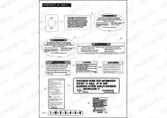 WARNINGS & LABELS
