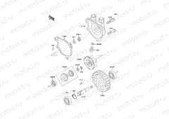 Water Pump