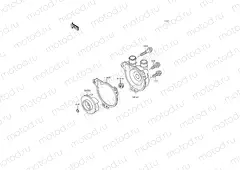 Water Pump