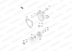 Water Pump