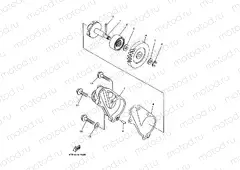 Water pump