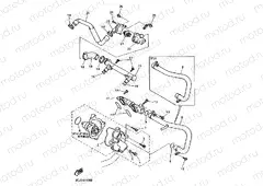 Water pump