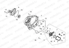Water pump