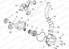 Water pump