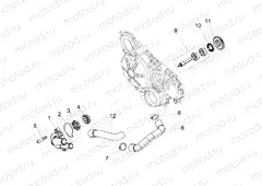 Water pump