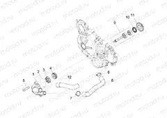 Water pump