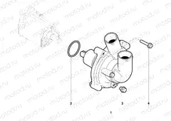 Water Pump