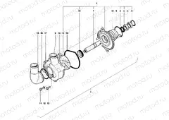 Water Pump