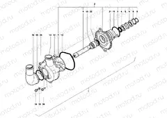 Water Pump