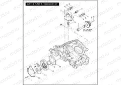 WATER PUMP & THERMOSTAT