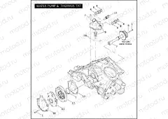 WATER PUMP & THERMOSTAT