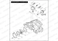 WATER PUMP & THERMOSTAT
