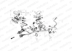 Wire harness