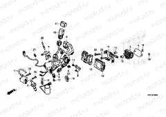WIRE HARNESS