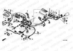 WIRE HARNESS