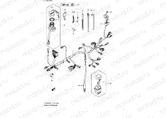 WIRE HARNESS (LT-Z400L1 E19)