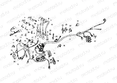 Wire harness/Ignition coil