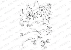 WIRING HARNESS