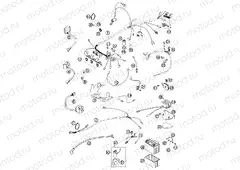 WIRING HARNESS