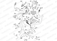 WIRING HARNESS