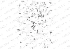 WIRING HARNESS
