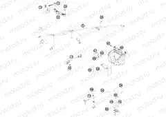 WIRING HARNESS