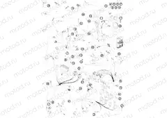 WIRING HARNESS
