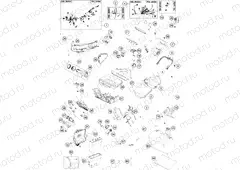 WIRING HARNESS