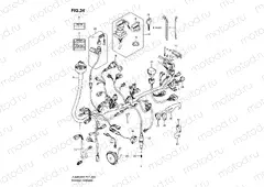WIRING HARNESS