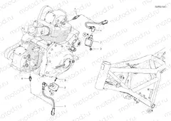WIRING HARNESS (COIL) [MOD:SCR800CR]