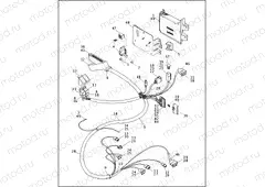 WIRING HARNESS & CONTROL MODULE - FUEL INJECTED