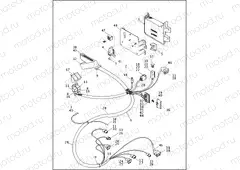 WIRING HARNESS & CONTROL MODULE - FUEL INJECTED MODELS