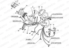 WIRING HARNESS DM 016056 » WIRING HARNESS