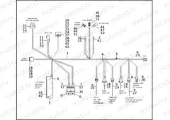 WIRING HARNESS, E.F.I. - FUEL INJECTED