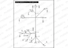 WIRING HARNESS, E.F.I. - FUEL INJECTED
