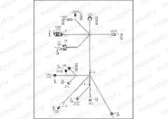 WIRING HARNESS, E.F.I. - FUEL INJECTED MODELS